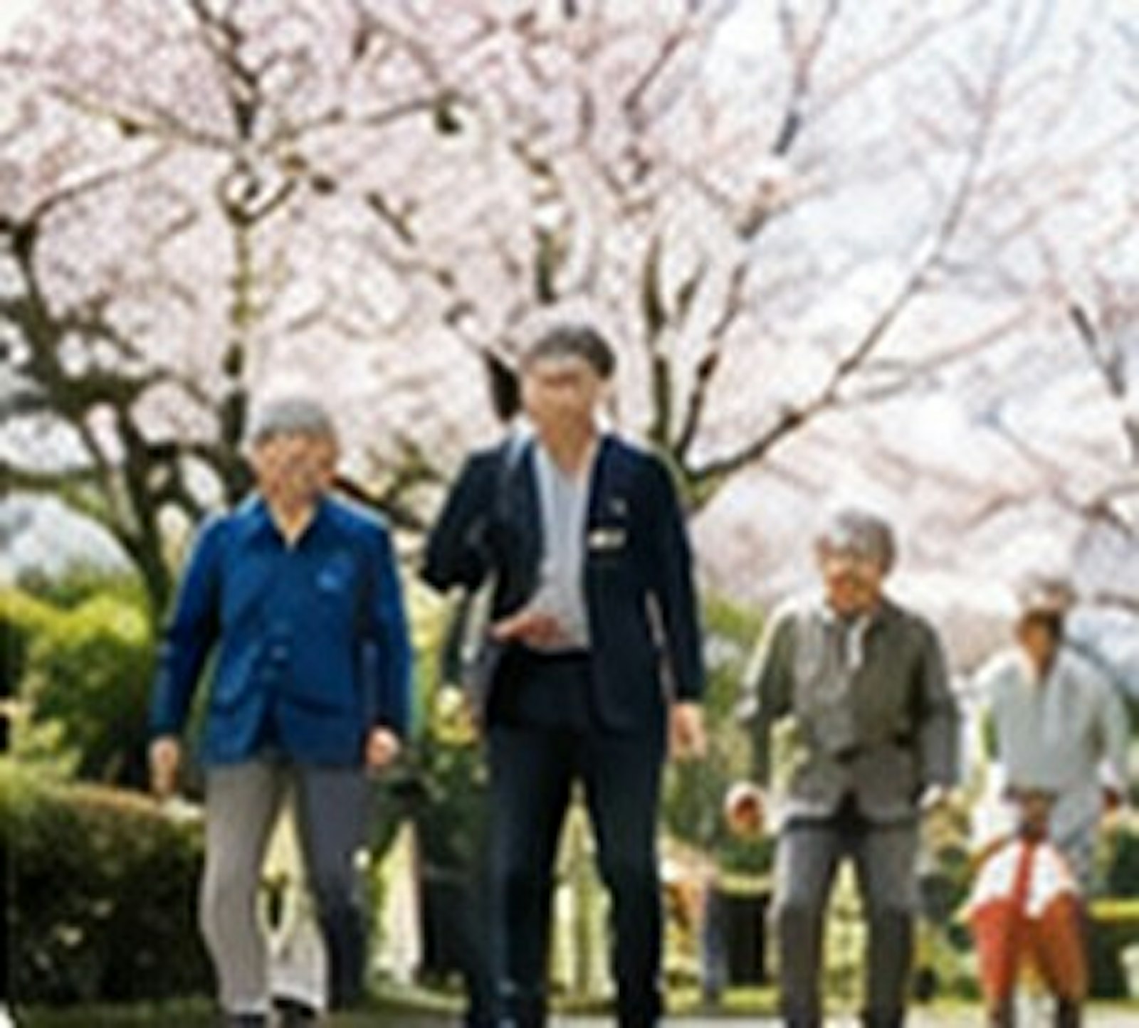 紫陽花ドライブに行ってきました