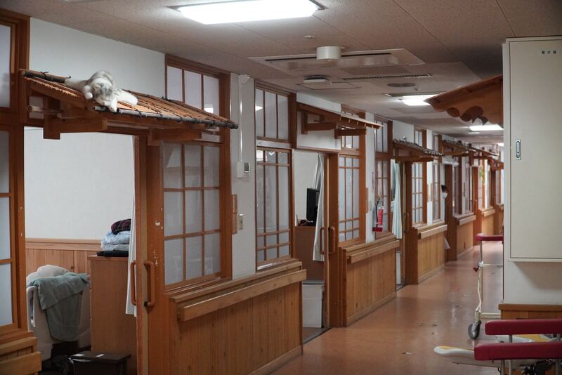 岸津苑の廊下（昭和の街並みを模した回想法の環境）